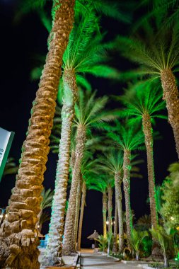 yaz tatili Eilat Resort, İsrail