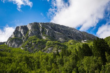 Güzel yaz peyzaj Folgefonna Milli Parkı, Norveç