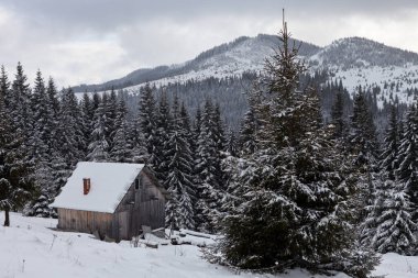 Turistik Yerler ve yerlere seyahat, Carpathian Mountains, Ukrayna