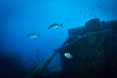 II. Dünya Savaşı sırasında Red Sea, Mısır İngiliz askeri nakliye gemisi battı
