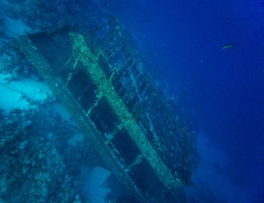 Sharm El-Sheikh, Mısır'daki güzel şeffaf deniz sualtı görünümü