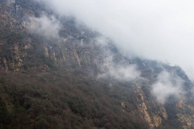 Gündüz nepal gezi ile seyahat, doğa ve bitki görünümü, Güney Asya 