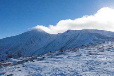 Hoverla. Ukrayna en yüksek dağ. 2061 m