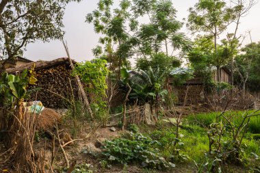 Gündüz nepal gezi ile seyahat, yerel flora ve bitkilerin Güney Asya yakın 