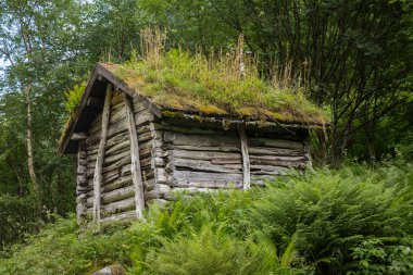 Norveç ev çim çatılı