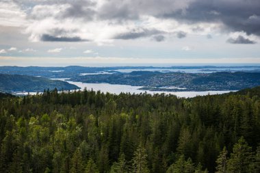 Ulriken tepesine peyzaj