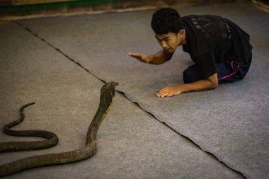 Tayland ada keşfetmek doğal görünümü