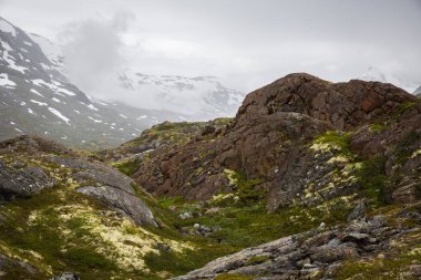 Norveç Milli Parkı Jotunheimen güzel manzara