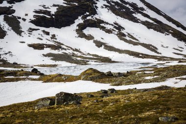 güzel manzara Milli Parkı Jotunheimen, Norveç