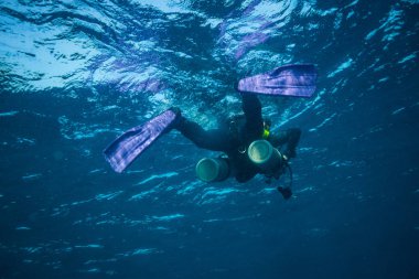 Koh Tao adası yakınlarında dalgıç sualtı