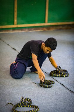 Tayland ada keşfetmek doğal görünümü