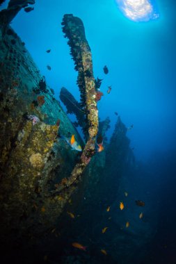 II. Dünya Savaşı sırasında Red Sea, Mısır İngiliz askeri nakliye gemisi battı