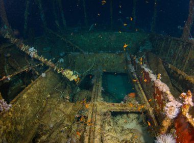 Red Sea yakınındaki Sharm El Sheikh, Mısır Resifi'nde Tarih Glassboat batık