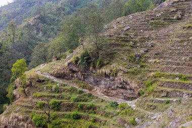 Yolda Nepal Köyü Merkez kampına Annapurna, Himalayalar, alanları