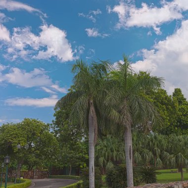  Cityscape Hint sermaye - Delhi şehir halkı ile