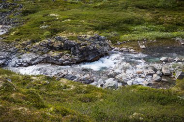 görkemli şelale ve yeşil bitki örtüsü Jotunheimen Milli Parkı, Norveç 
