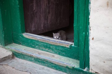 Gündüz nepal gezi lerinde seyahat, mimari ve bina görünümü, Güney Asya 