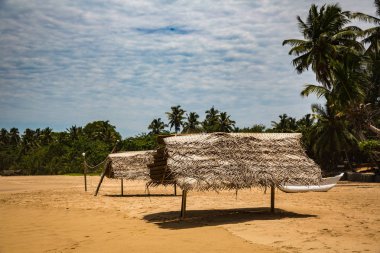 güzel deniz manzaralı Sri Lanka
