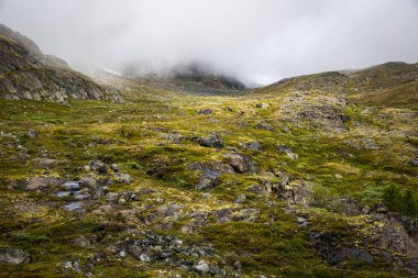güzel manzara Milli Parkı Jotunheimen, Norveç