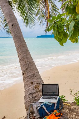 Tayland sahilde ağaç yakınında sırt çantası laptop
