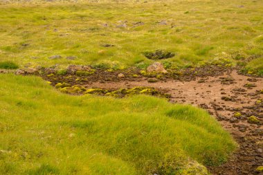 Doku Reykjanesfolkvangur İzlanda Dağı.