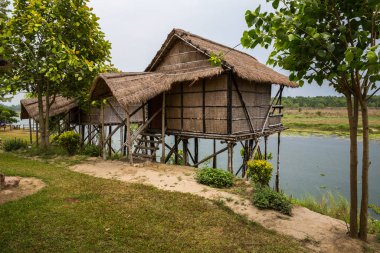 Doğal görünümü güzel manzara ile flora ve fauna Chitwan, Nepal 