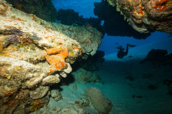 Underwater Mexico — Stockfoto