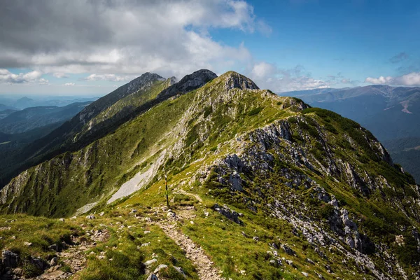 Panorama Verano Cordillera Montenegrina Cárpatos —  Fotos de Stock