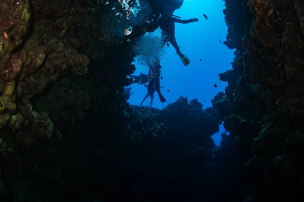 Dykare Reaf Röda Havet — Stockfoto