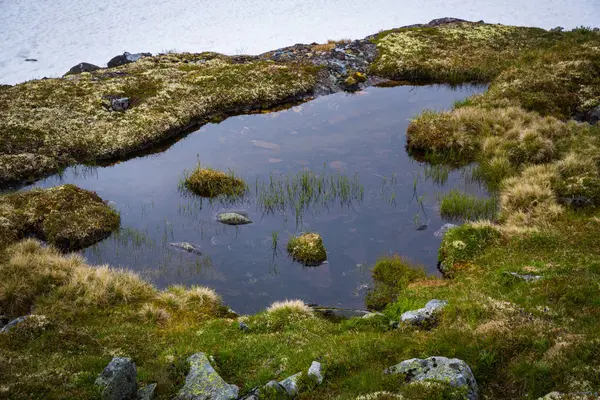 Bela Paisagem Parque Nacional Jotunheimen Noruega — Fotografia de Stock