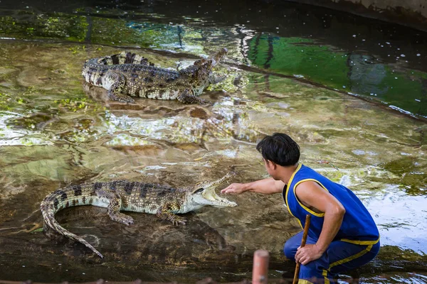 Festői Kilátással Sziget Felfedezéséhez Thaiföld — Stock Fotó