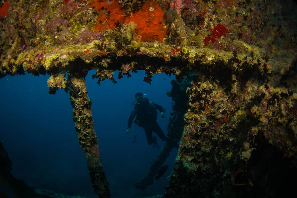 Diver on British military transport ship sunk during World War II