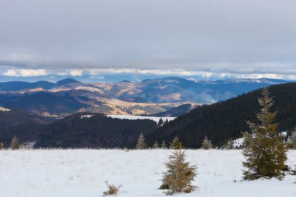 Ukrayna Karpatlar Dağlar Karla Kaplı Güzel Kış Manzarası — Stok fotoğraf