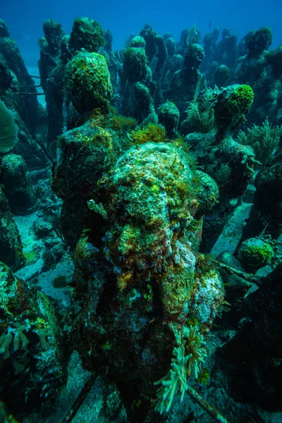 underwater picture of stone statues on ocean bottom