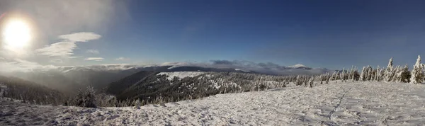 Vackert Vinterlandskap Snötäckta Ukrainska Karpaterna Bergen — Stockfoto