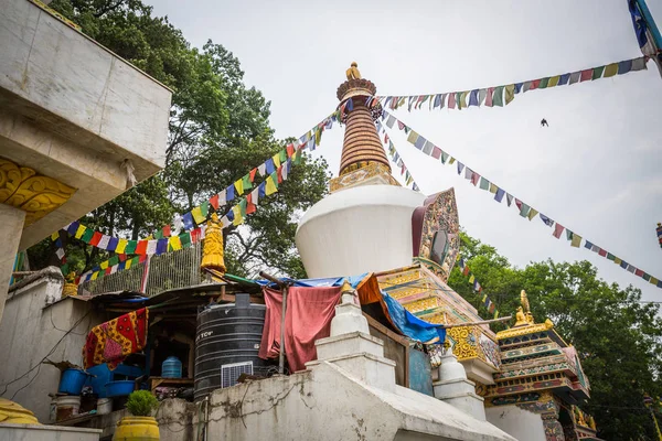 Kathmandu Nepal May Monkey Temple 2016 Kathmandu Nepal Swoyambhunath Ancient — Stock Photo, Image