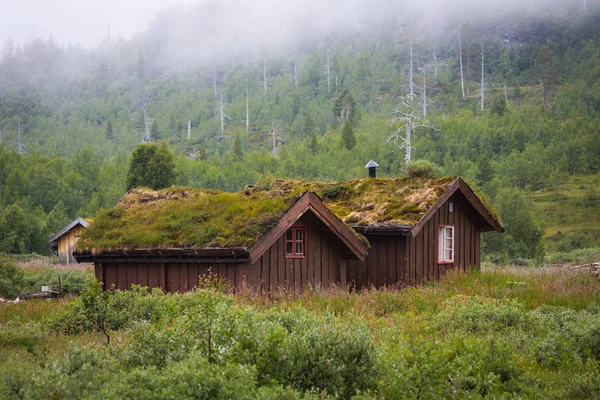 Casa Norvegese Con Tetto Erba — Foto Stock