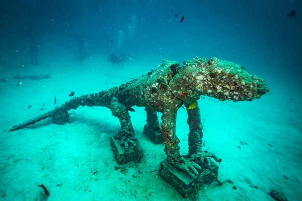 underwater shot on ocean floor