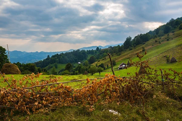 Panorama Estivo Della Catena Montenegrina — Foto Stock