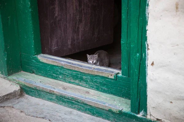 Gündüz nepal gezi lerinde seyahat, mimari ve bina görünümü, Güney Asya 