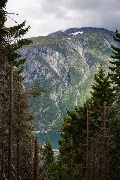 Beautiful Summer Landscape Folgefonna National Park Norway — Stock Photo, Image