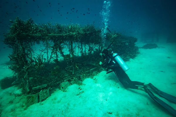 Unterwasser Schuss Auf Meeresboden — Stockfoto