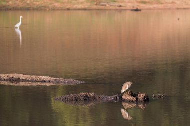 doğal görünümünü tarihi: Hindistan eyaleti