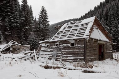 Turistik Yerler ve yerlere seyahat, Carpathian Mountains, Ukrayna