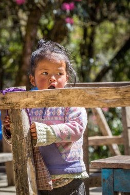 Narchyang, Nepal-Mart 19: Himalayalar insanlar 19, 2015 yılında Narchyang, Nepal. İnsanlar Annapurna Saha Kampı için yolda.
