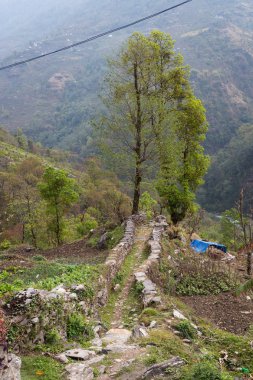 Yolda Nepal Köyü Merkez kampına Annapurna, Himalayalar, alanları