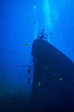 Bali, Endonezya okyanus altındaki batık geminin sualtı çekimi