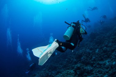 Sualtı atışı ve deniz zemini