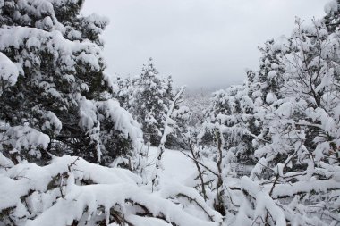 güzel karlı Highlands Kırım'doğal görünümü 