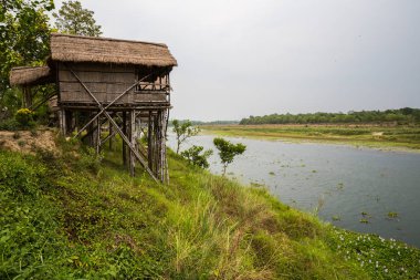 Doğal görünümü güzel manzara ile flora ve fauna Chitwan, Nepal 